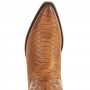 Mayura Boots Alabama 2524 Cognac